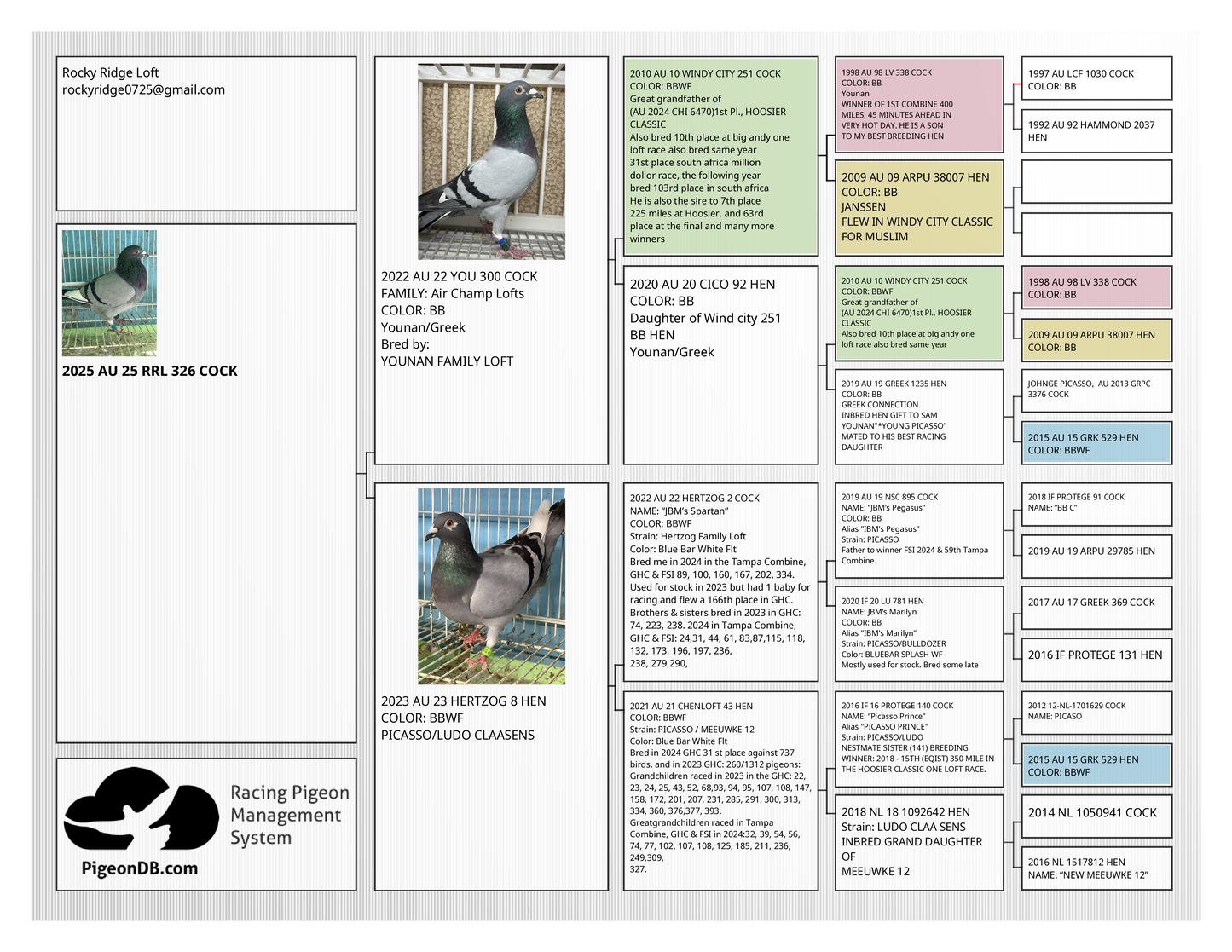 (Greek/Ludo)Racing Pigeon (RRL 326)