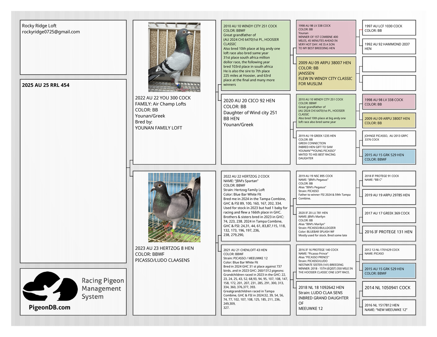 (Greek/Ludo)Racing Pigeon (RRL 454)