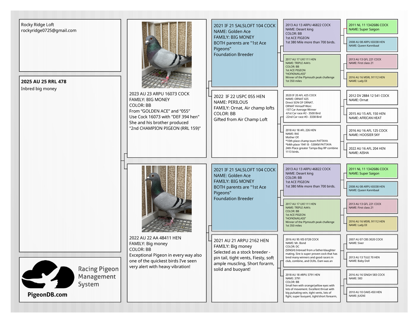 Racing Pigeon (RRL 478)