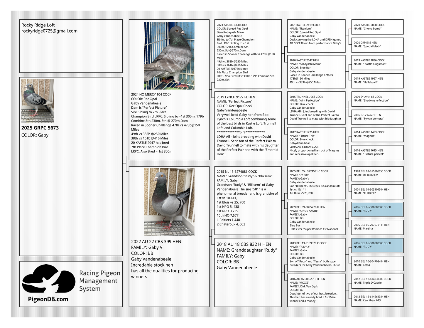 Racing Pigeon "GRPC 5673”