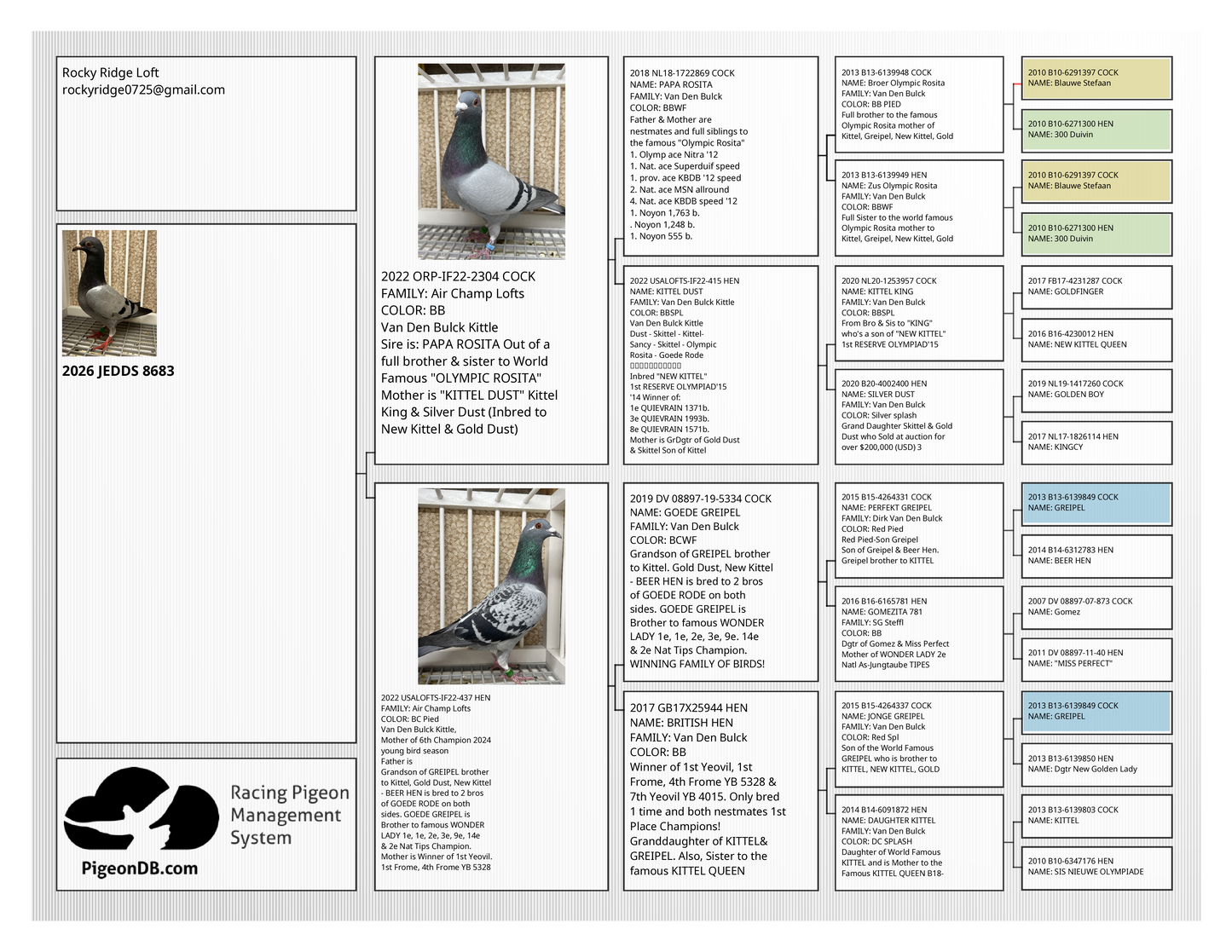 Racing Pigeon (8683)