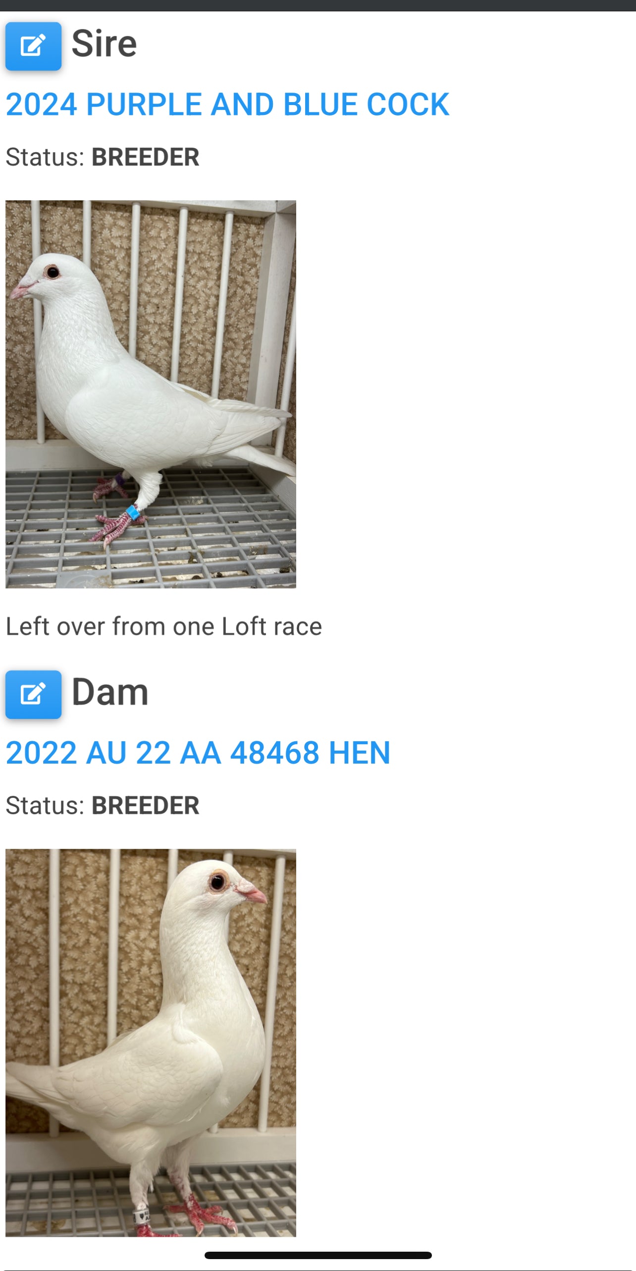 2025 Rocky Ridge White Pigeon "RRL 481”
