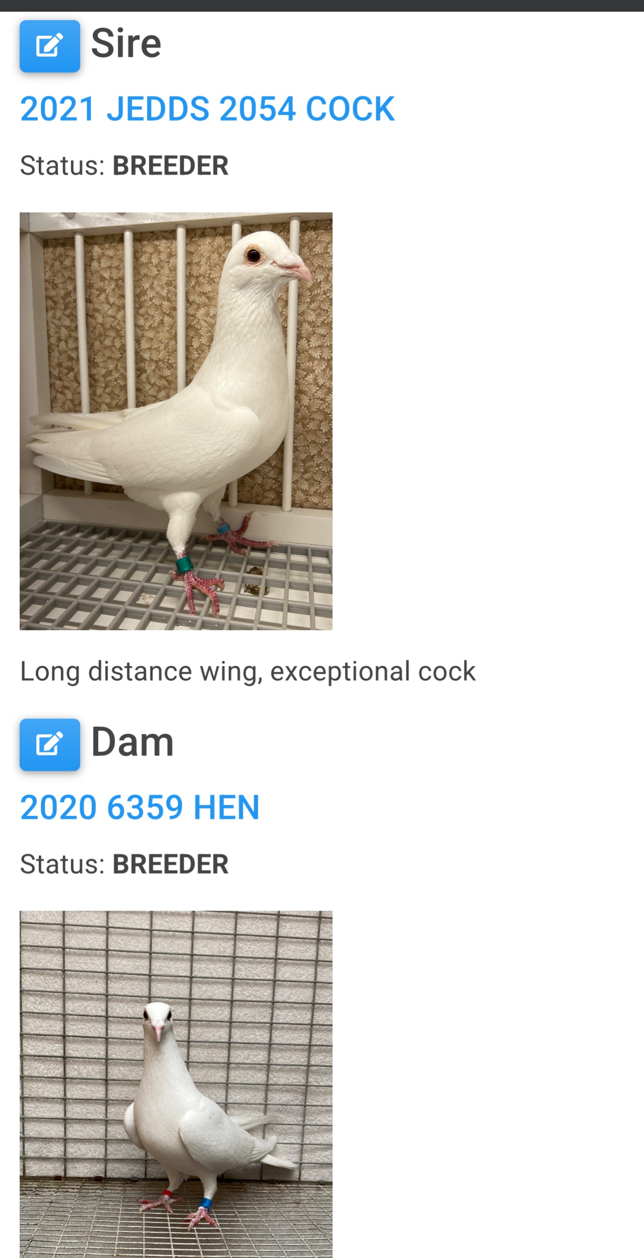 2025 Rocky Ridge White Pigeon "RRL 449”