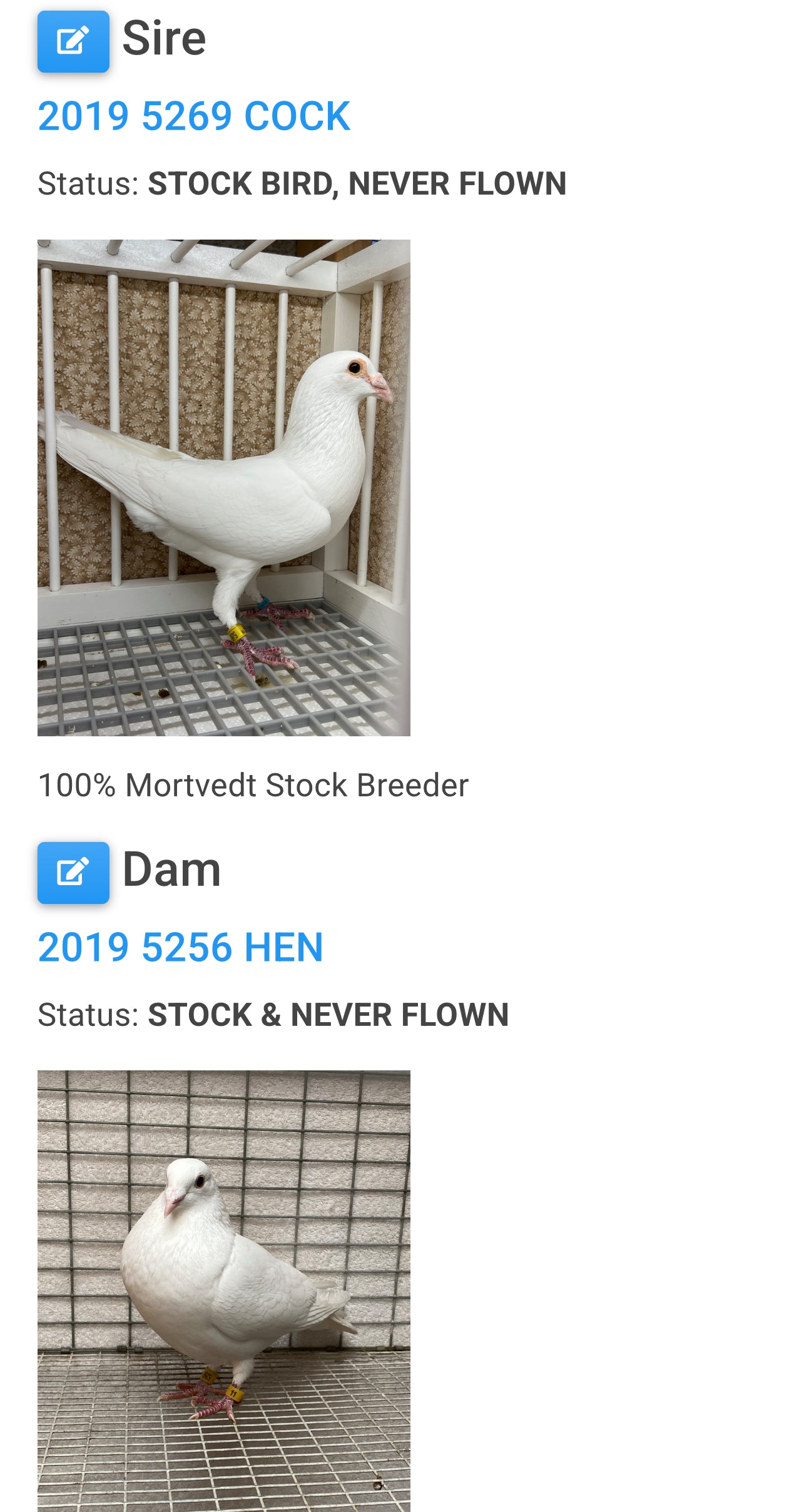 2025 Rocky Ridge White Pigeon "RRL 457”