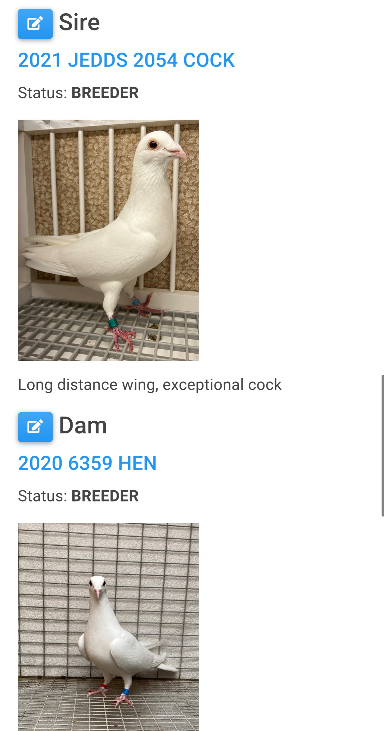 2025 Rocky Ridge White Pigeon "RRL 450”