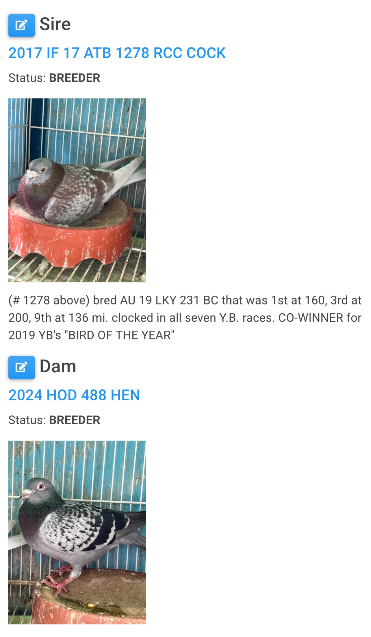 Racing Pigeon "GRPC 5409”