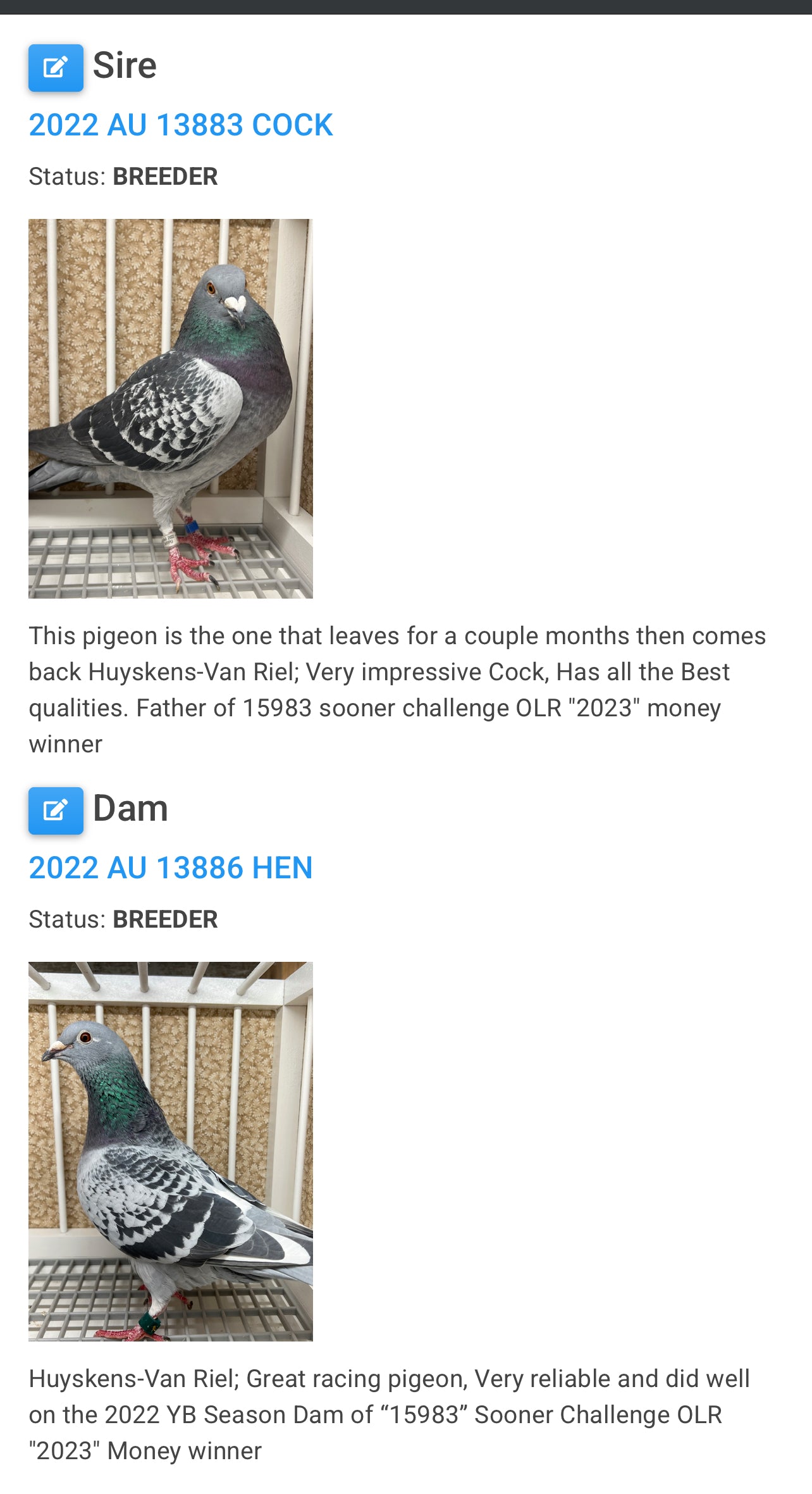 HVR Racing Pigeon (GRPC 5464)