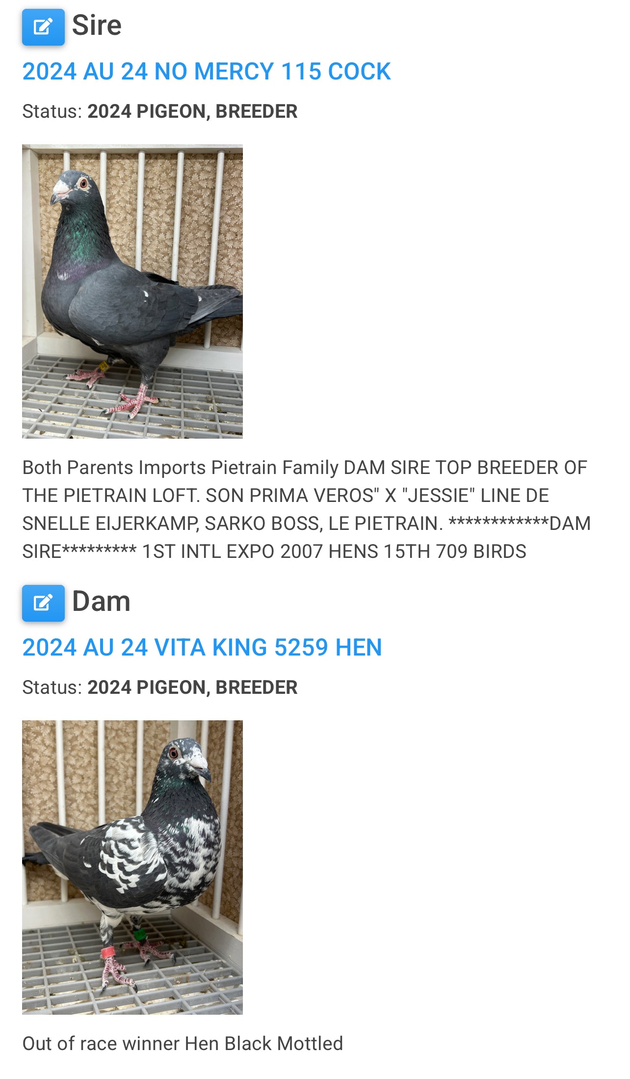 Shellens/Pietrain (GRPC 5631)