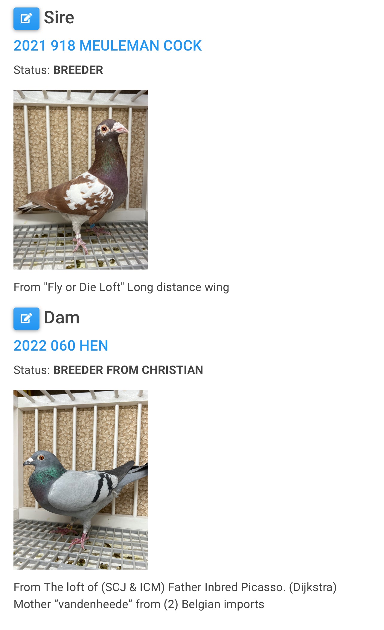 Racing Pigeon "GRPC 5406”