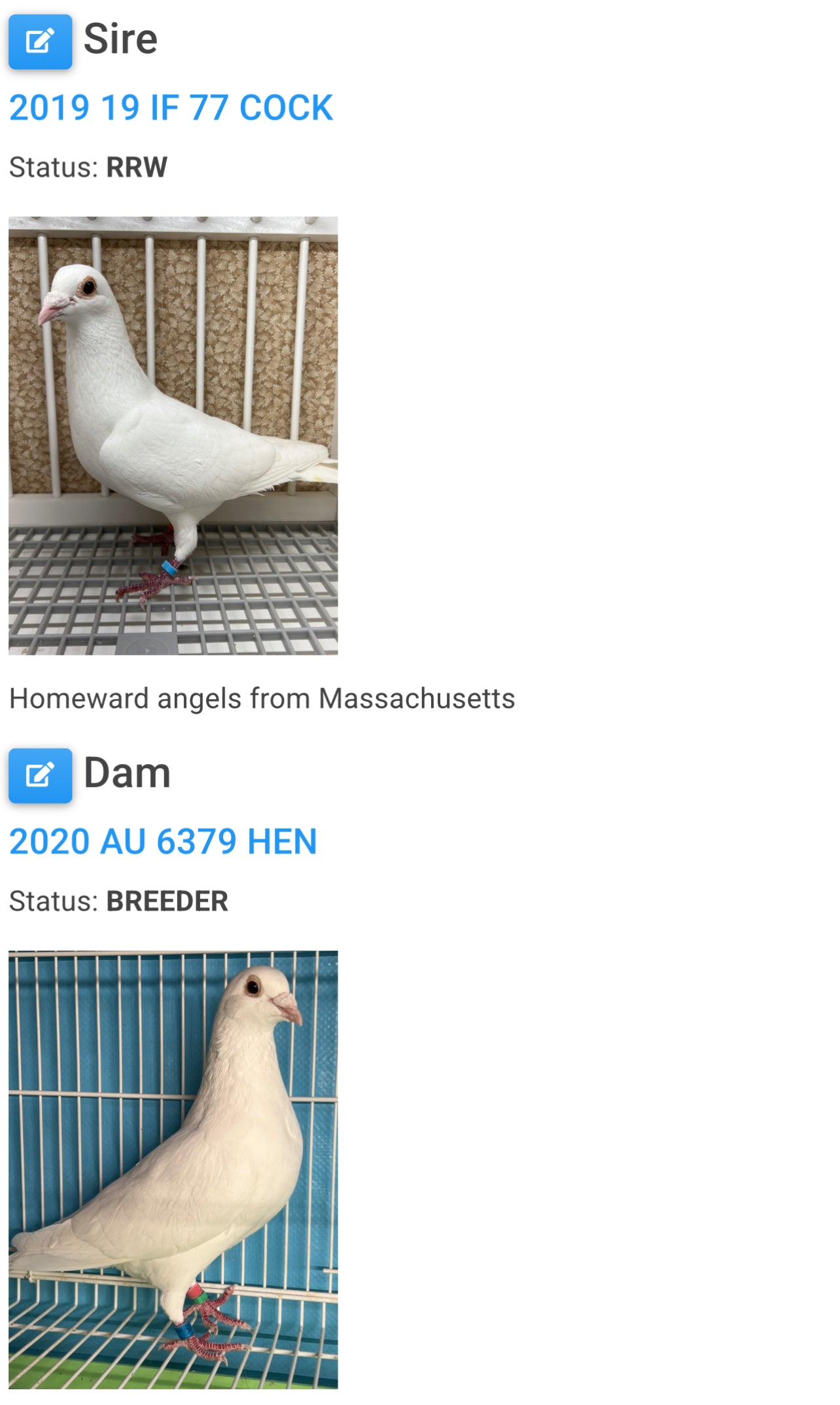 2025 Rocky Ridge White Pigeon "GRPC 5460”