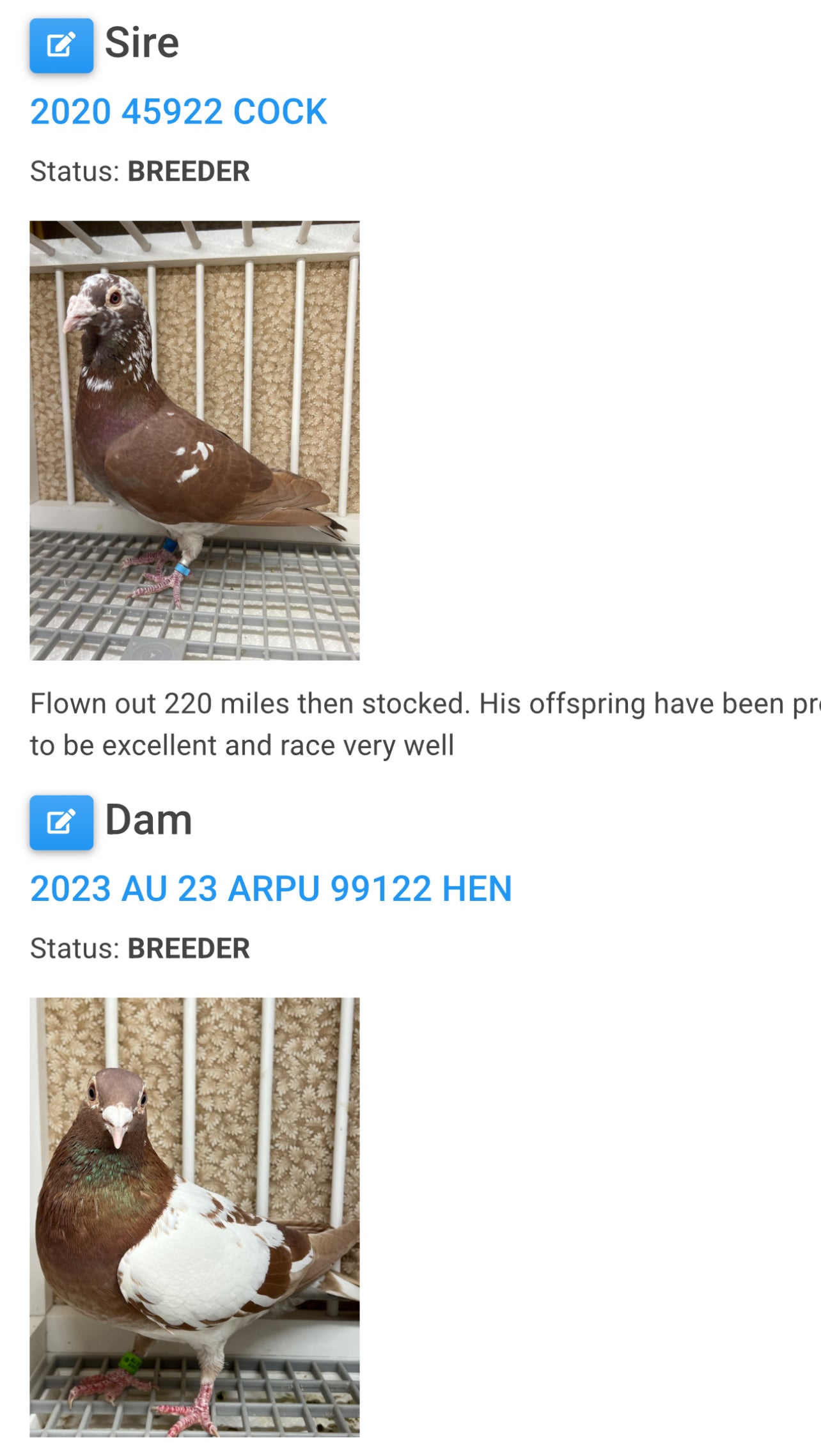 Meuleman Racing Pigeon "GRPC 5650”