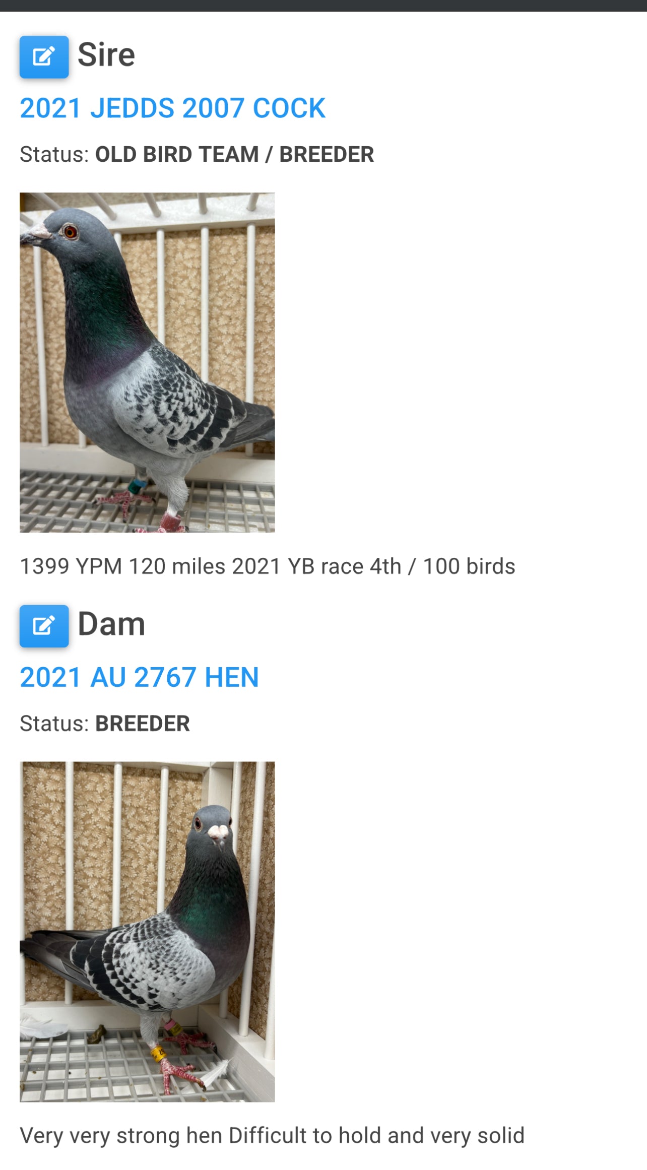 Racing Pigeon "GRPC 5427”