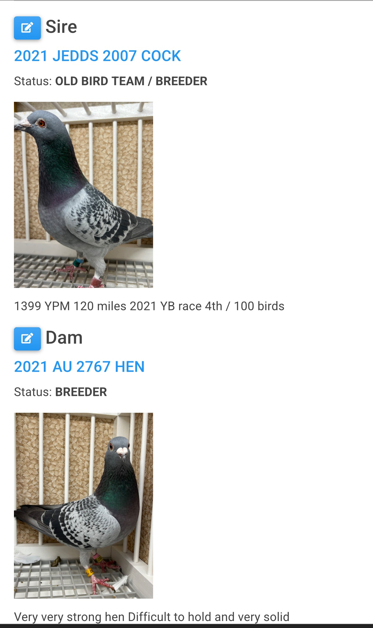 Racing Pigeon "GRPC 5490”