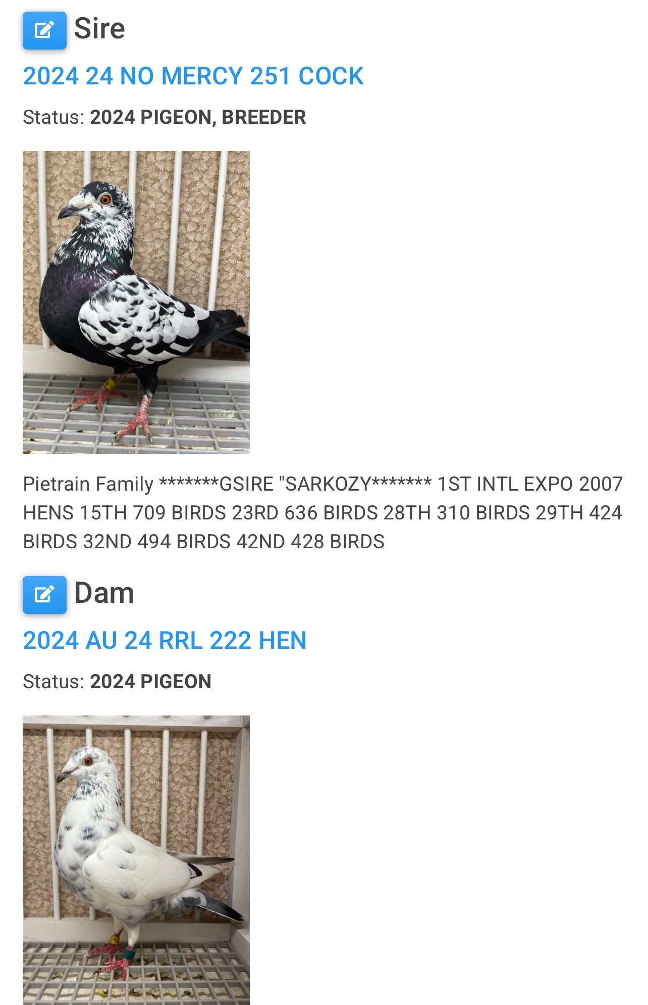 2025 Black Pigeon "GRPC 5679”