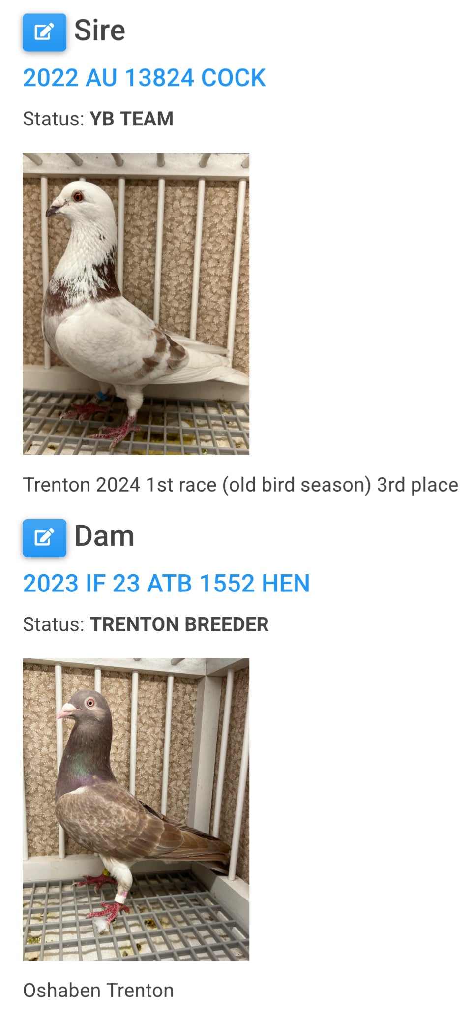 Rocky Ridge Trenton "GRPC 5682”