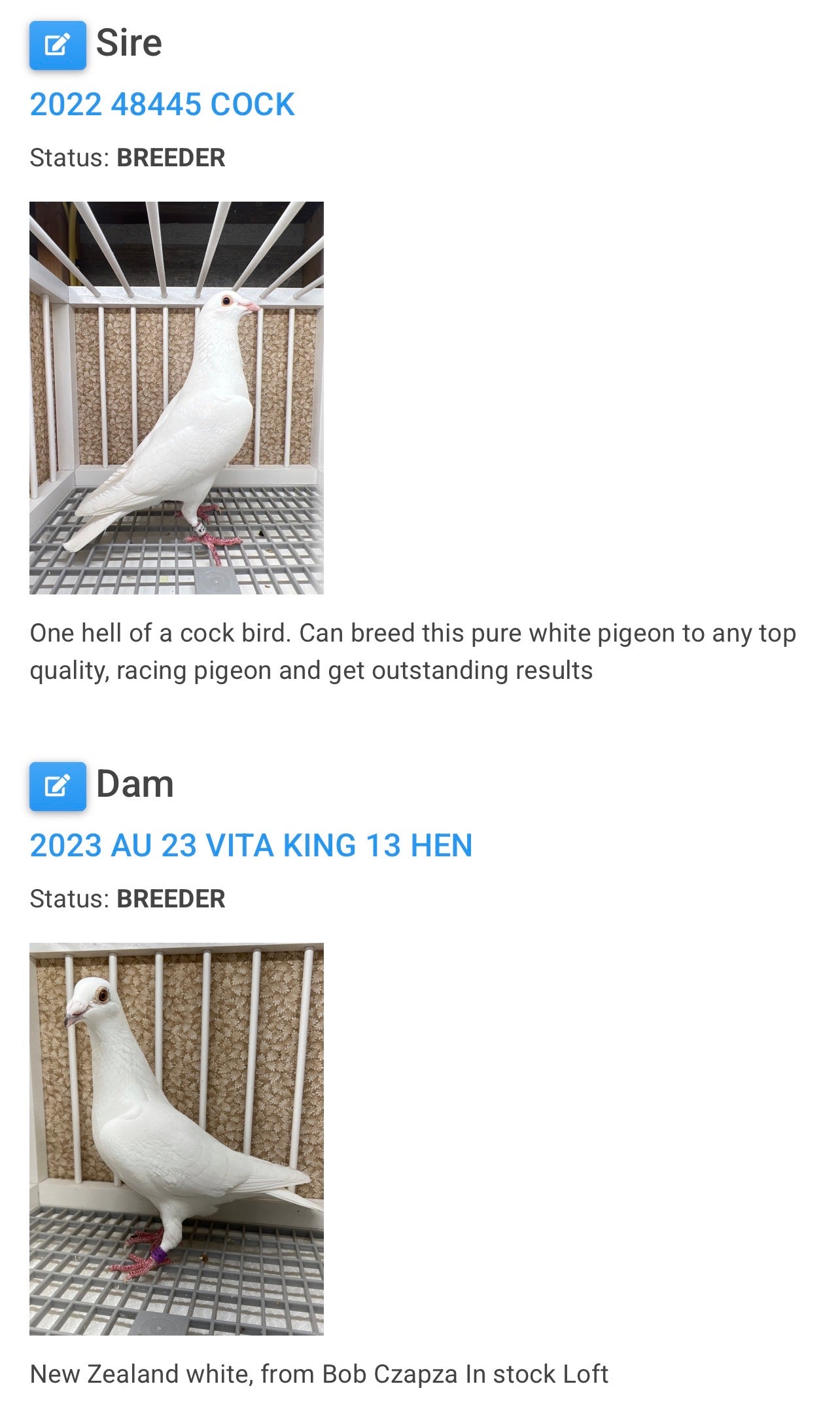 2026 Rocky Ridge White Pigeon (8657)