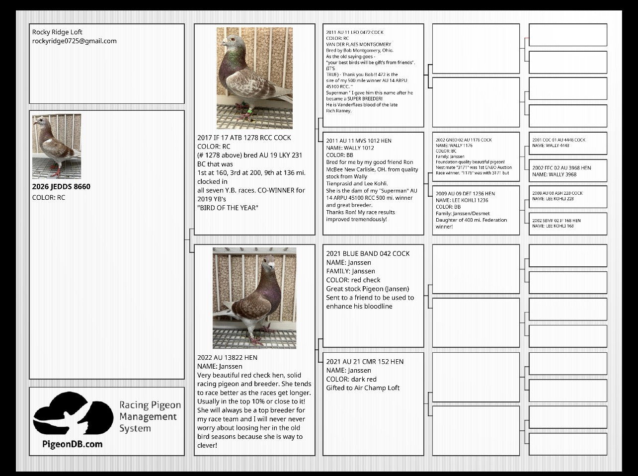2025 Racing pigeon (8660)