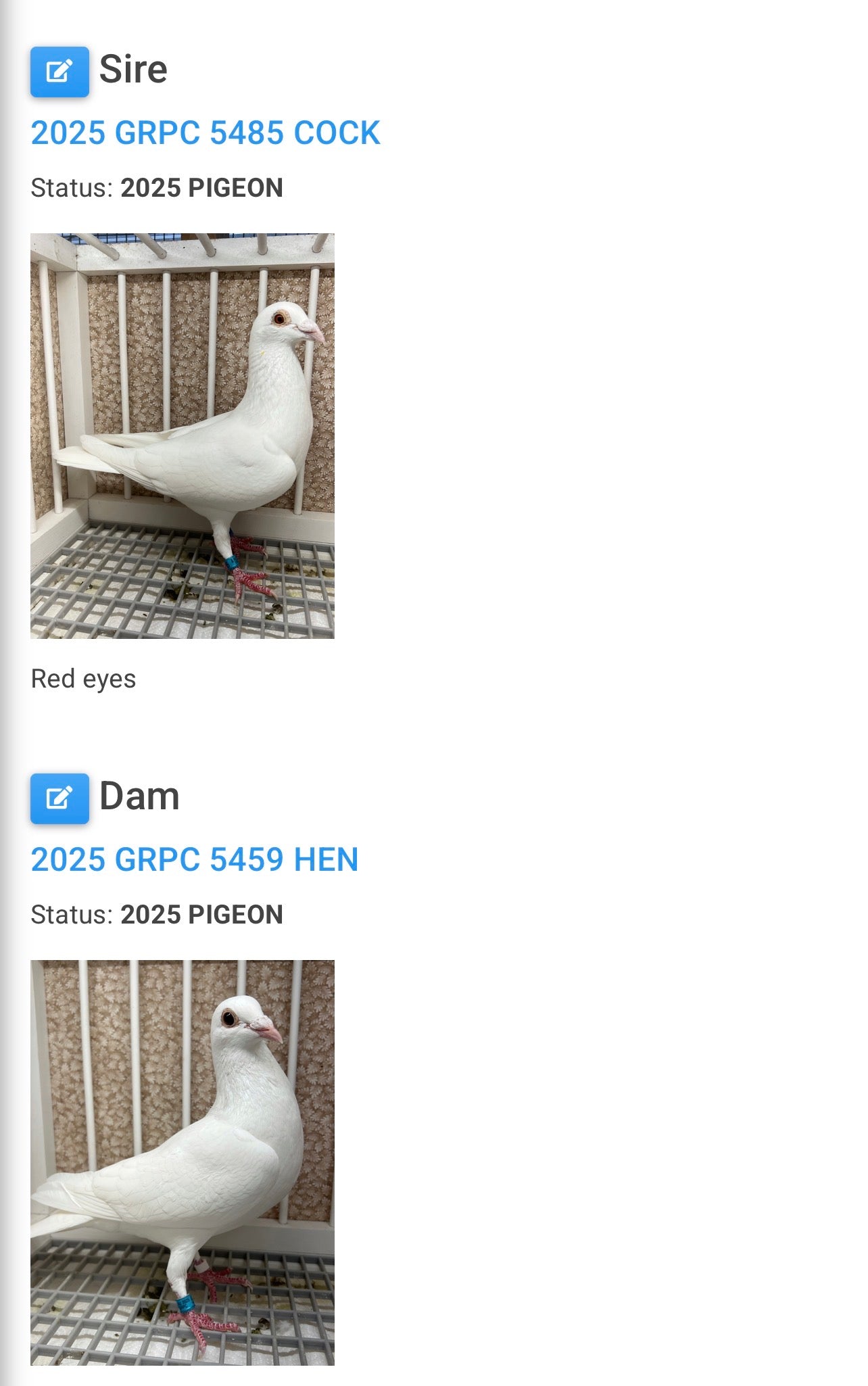 2026 Rocky Ridge White Pigeon (8690)