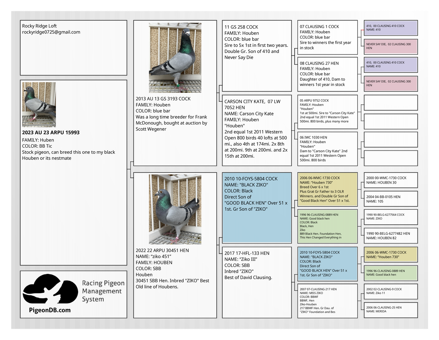 *SOLD* (Houben) Racing Pigeon "16000" *SOLD*