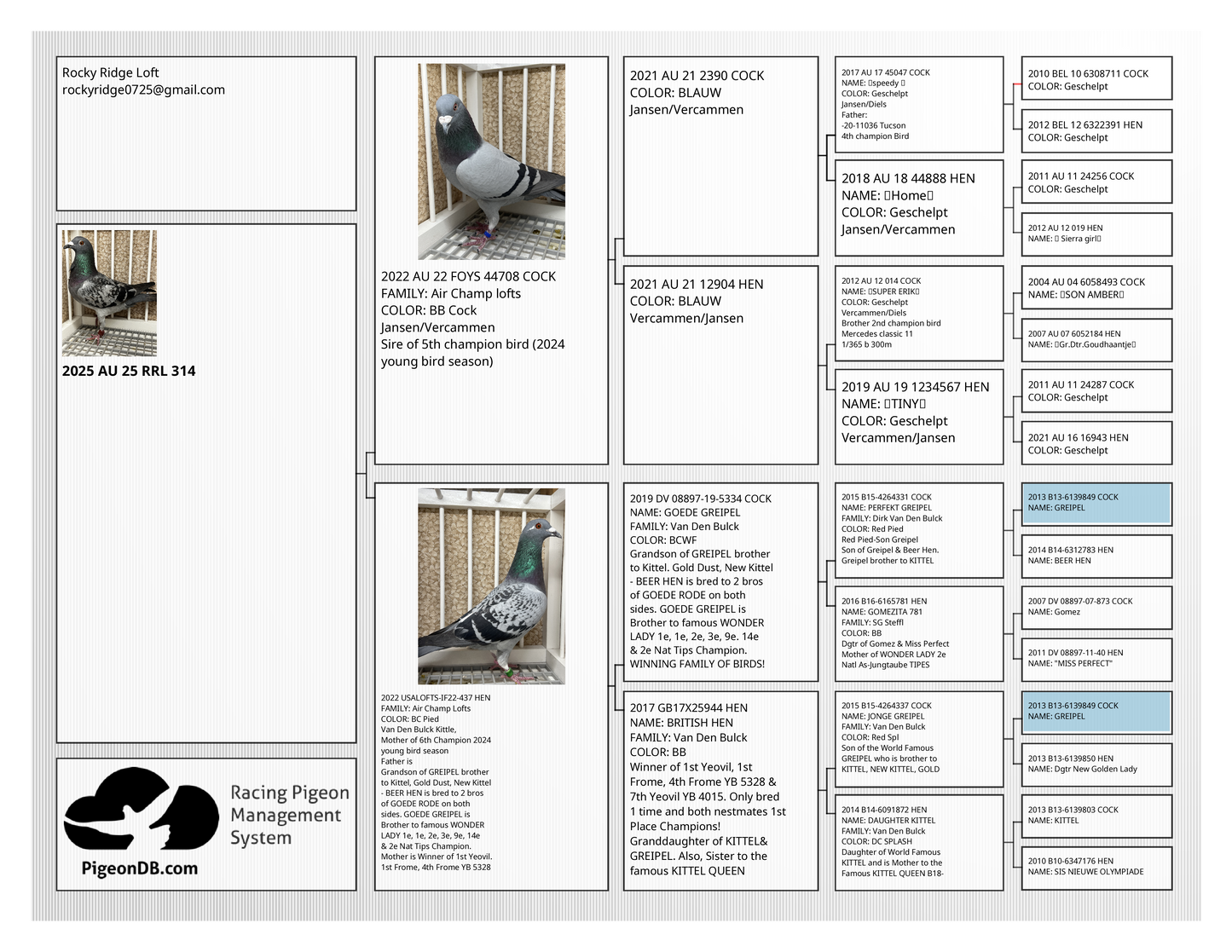 Racing Pigeon (RRL 314)