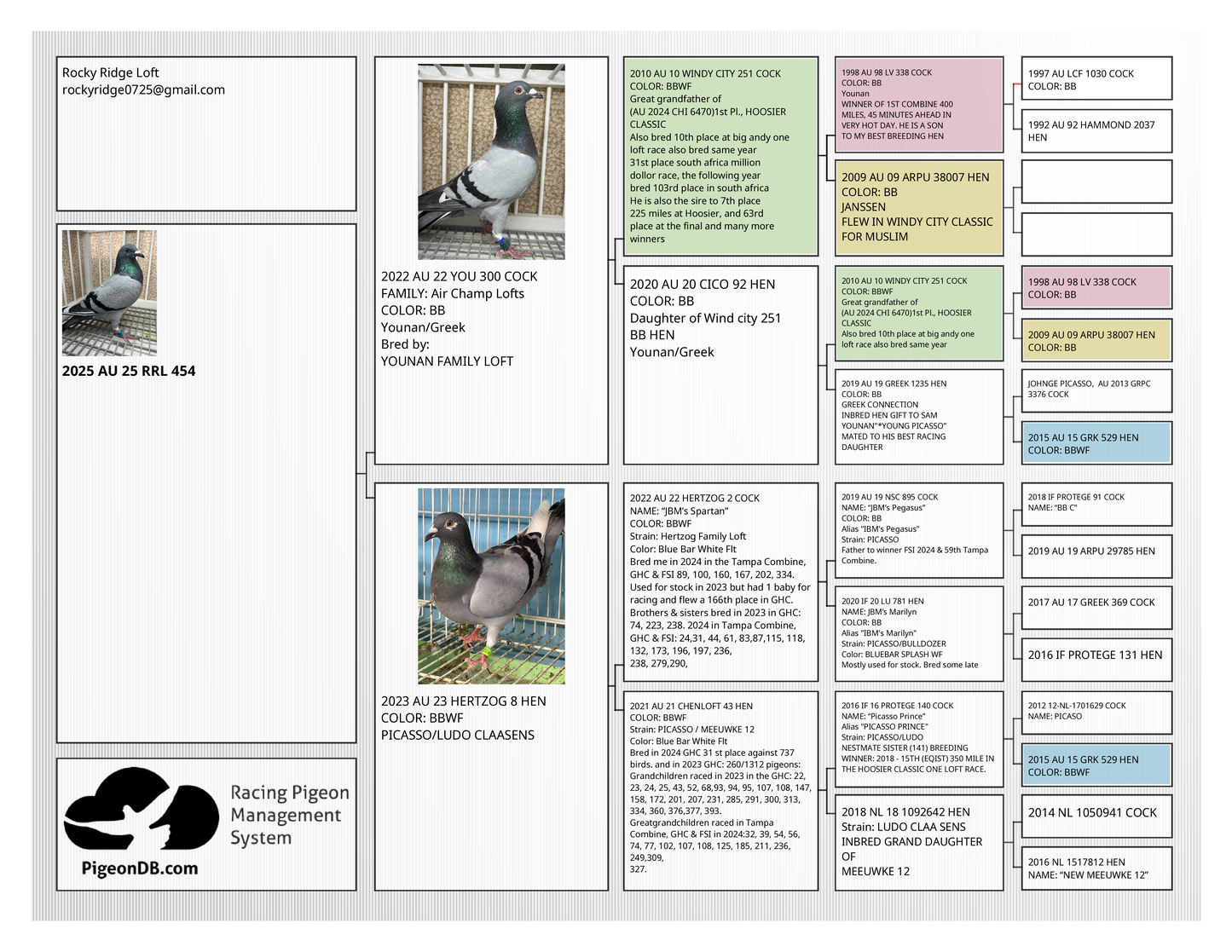 (Greek/Ludo)Racing Pigeon (RRL 454)