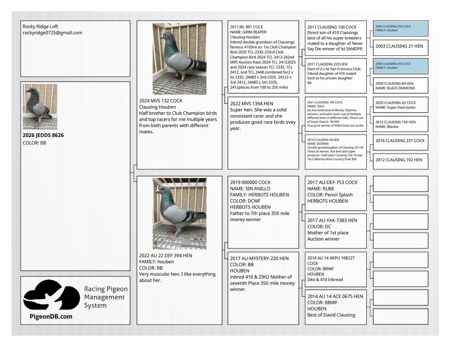 Houben Racing Pigeon (8626)