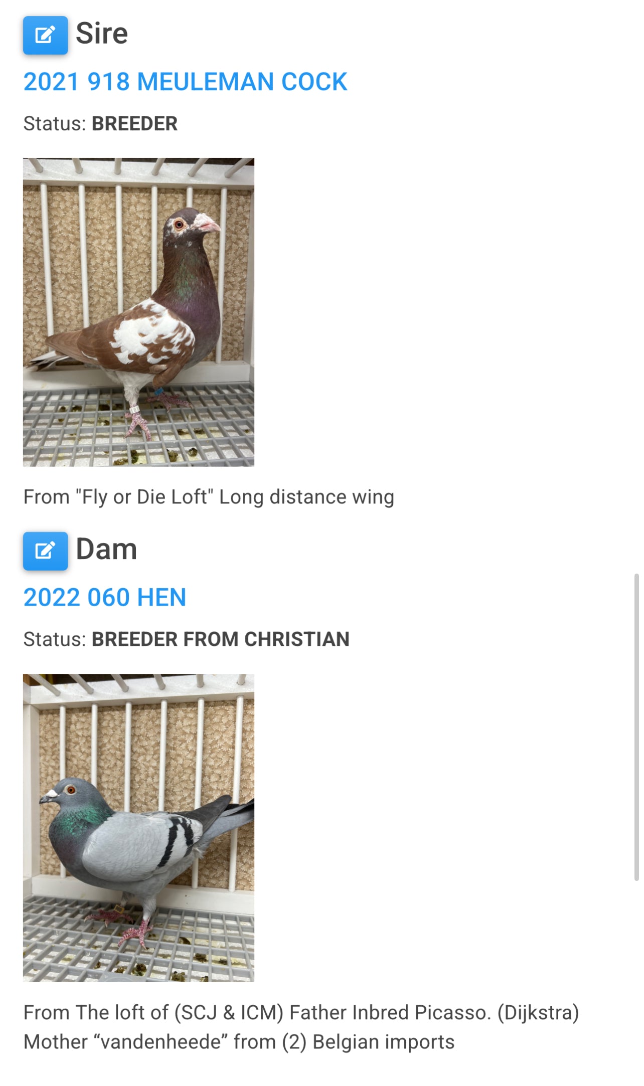 Racing Pigeon "GRPC 5405”