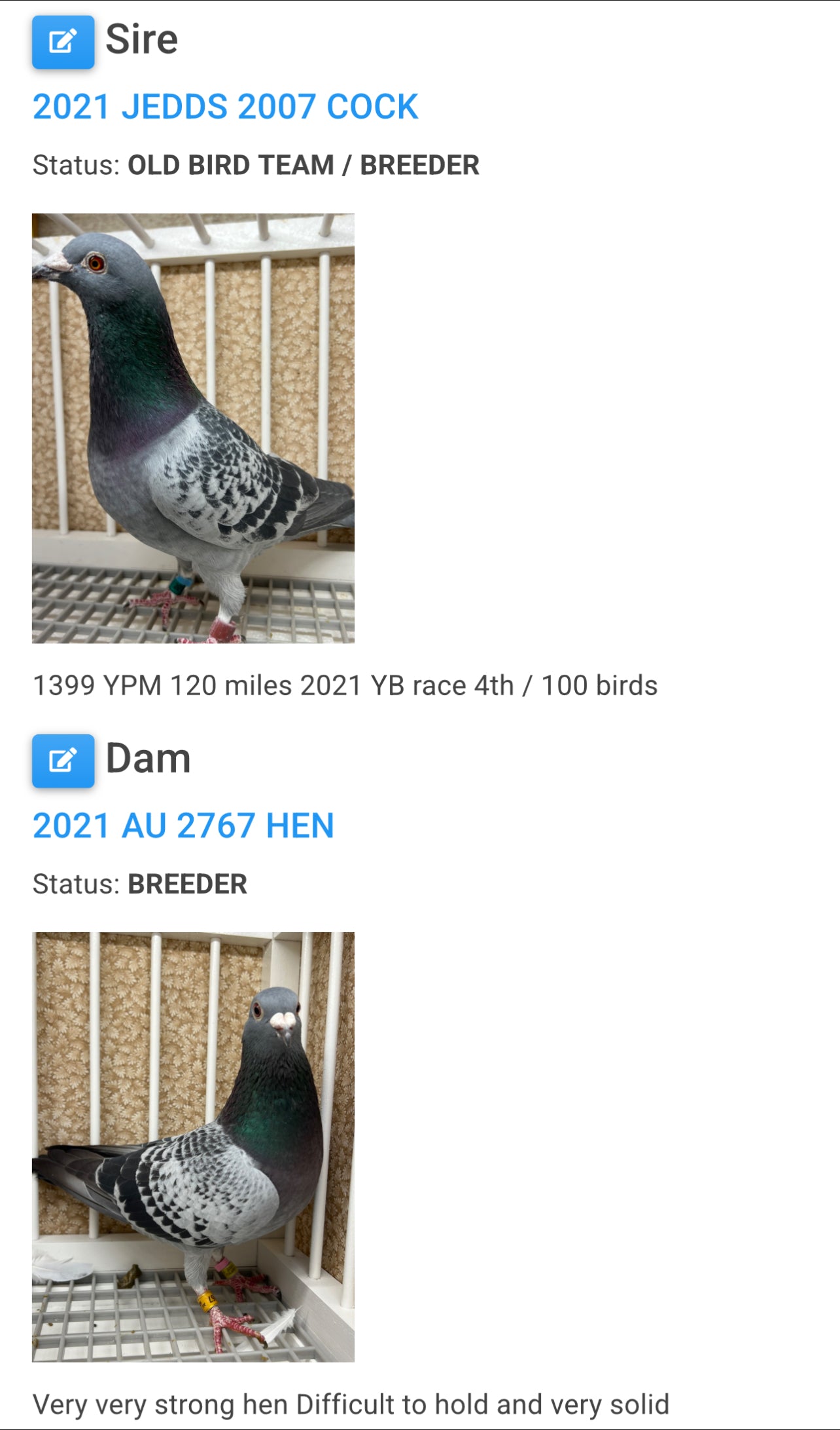 Racing Pigeon "GRPC 5426”