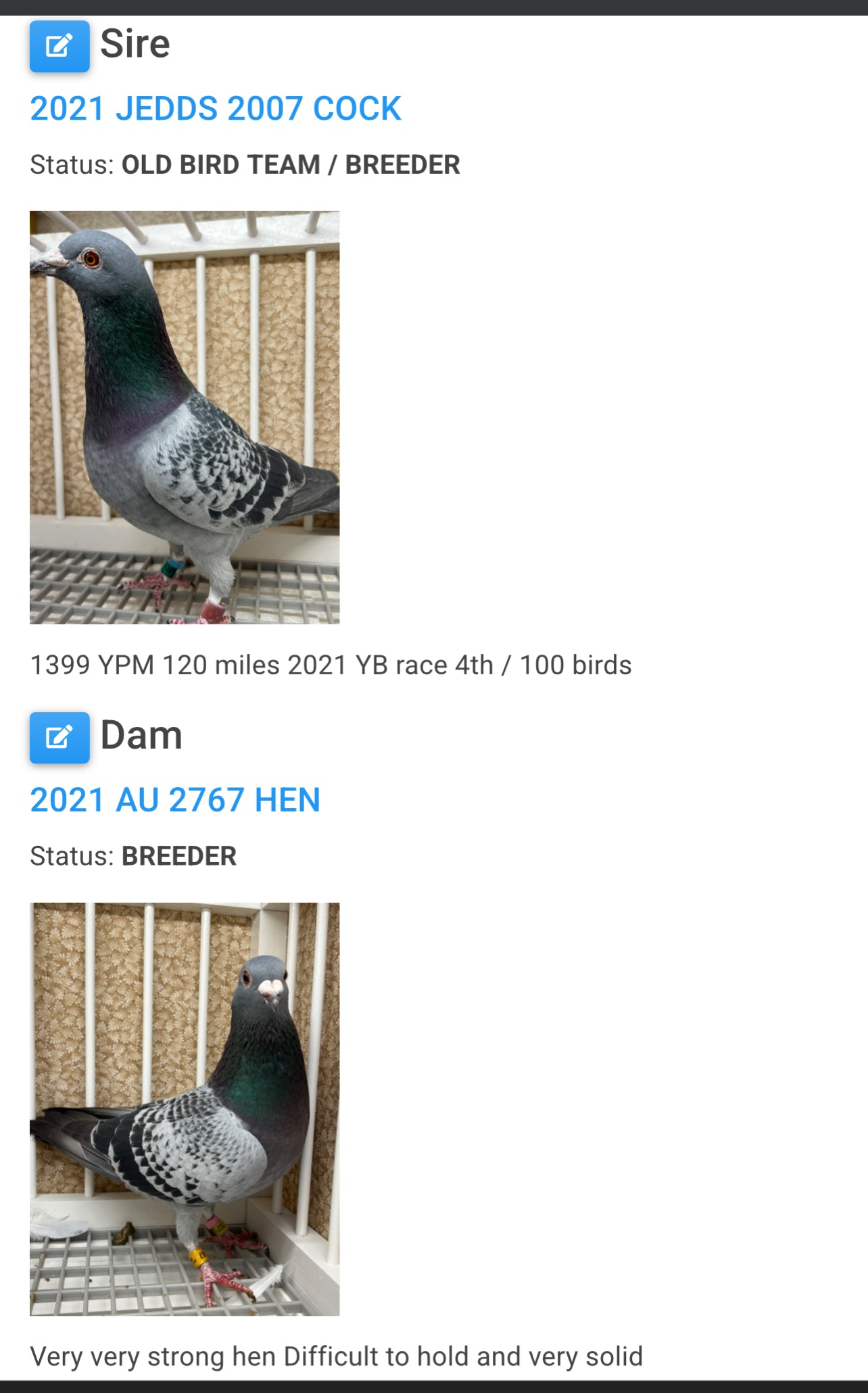 Racing Pigeon "GRPC 5491”
