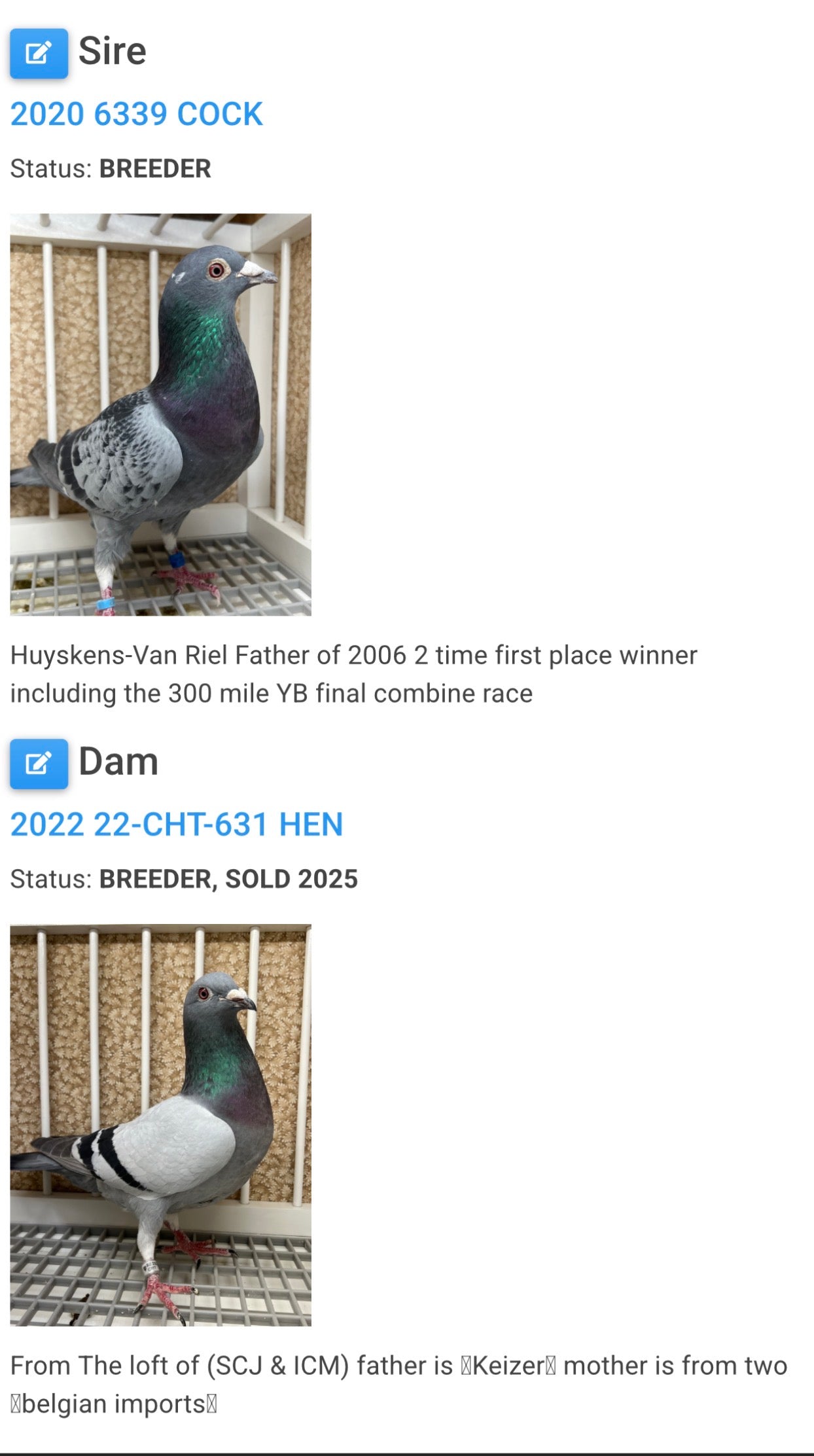 Racing Pigeon (RRL 325)