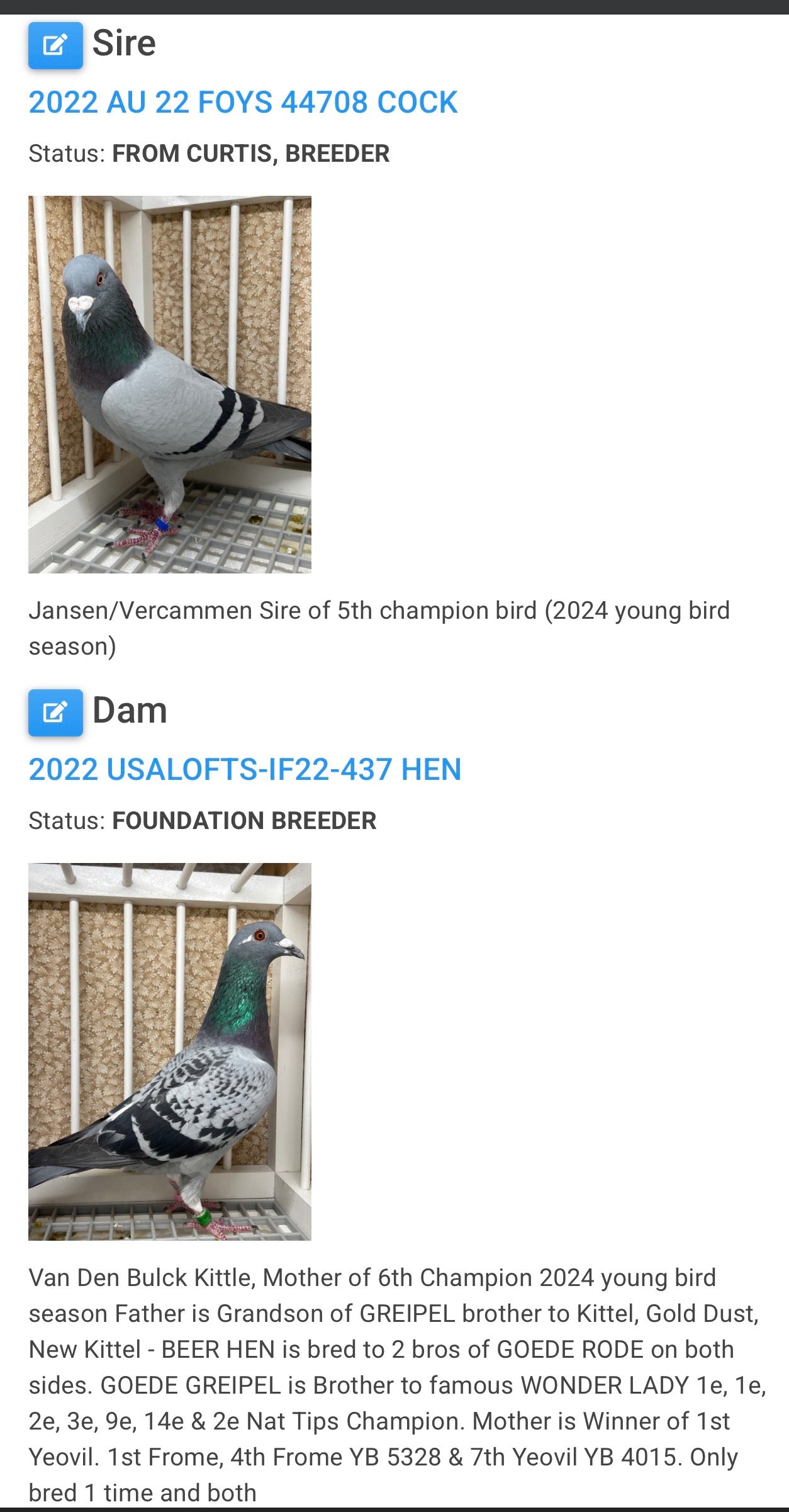 Racing Pigeon (RRL 314)