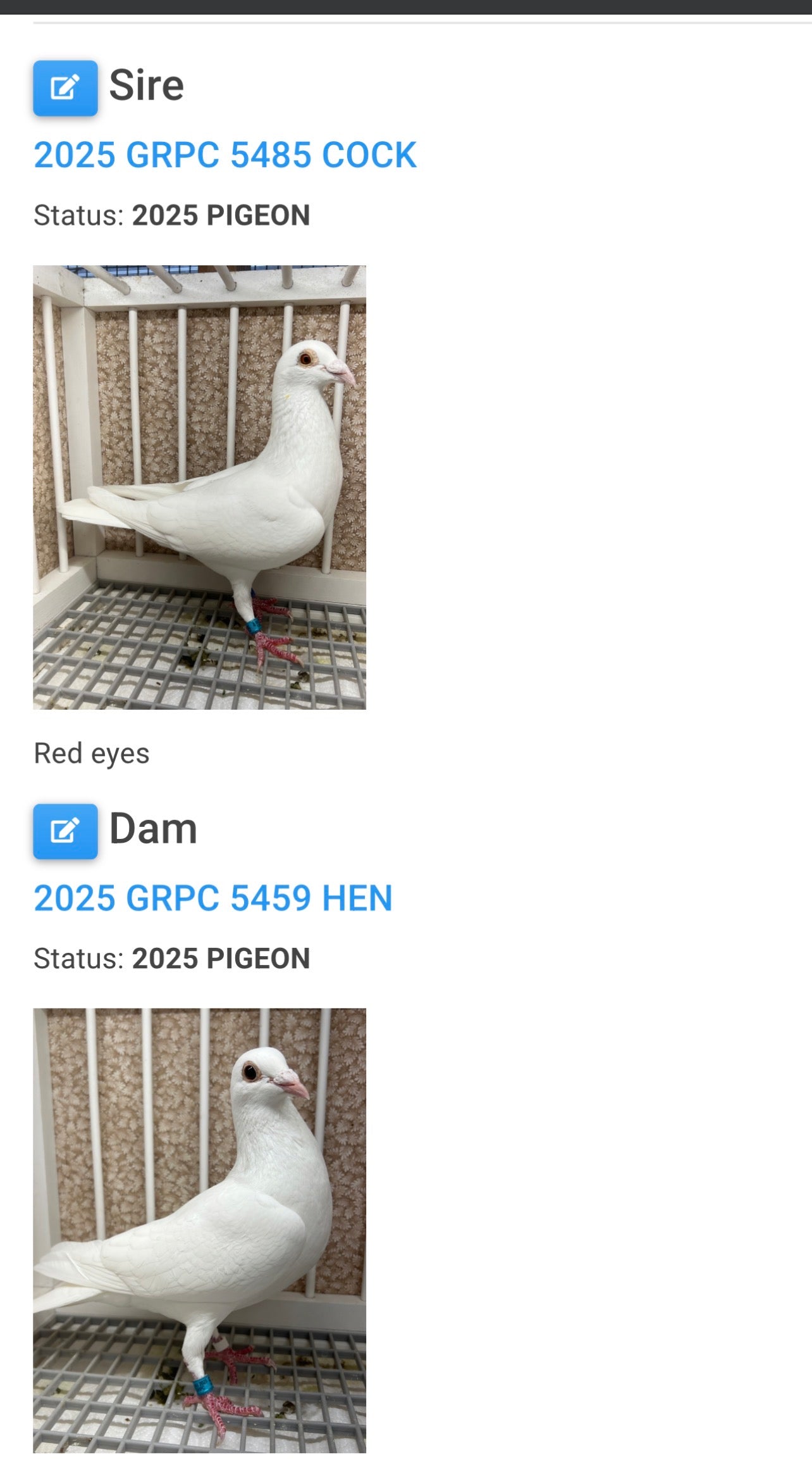 2026 Rocky Ridge white pigeon "JEDDS 8612”