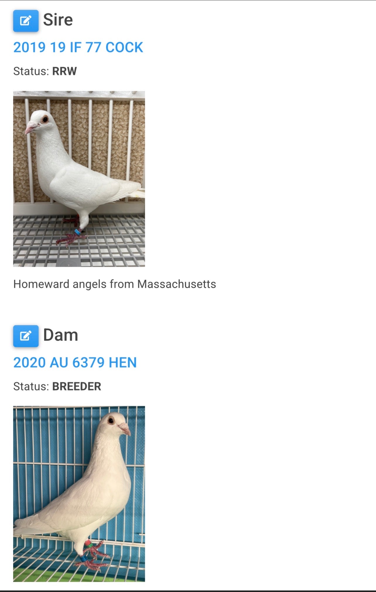 2026 Rocky Ridge White Pigeon (8638)