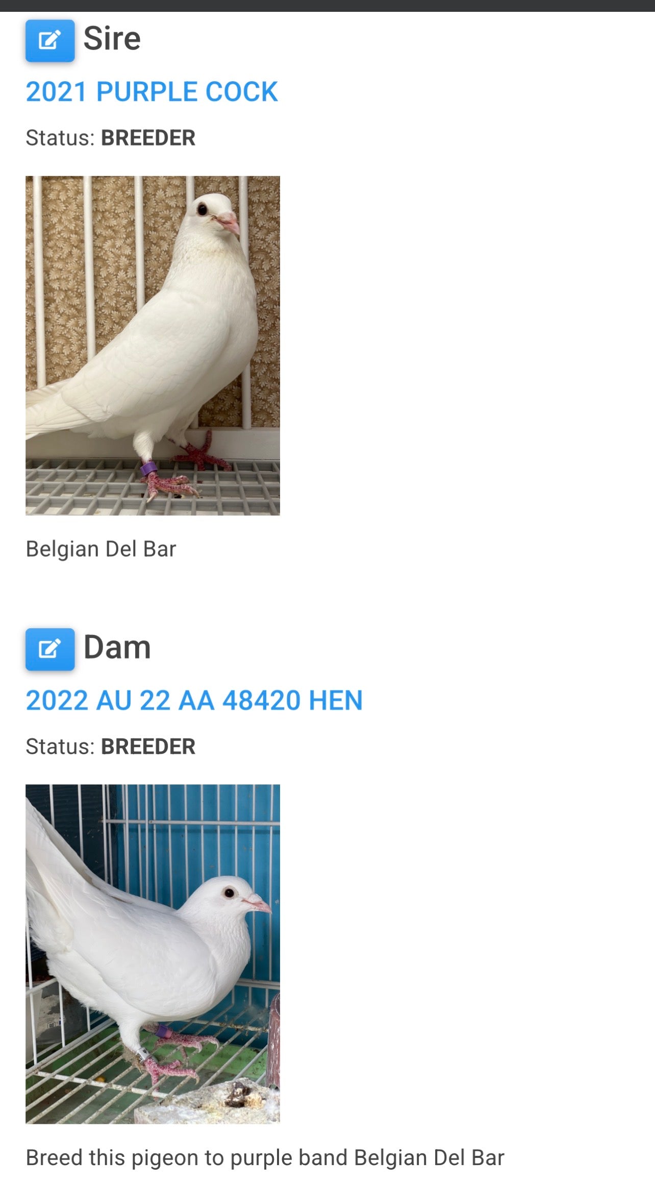 2026 Rocky Ridge White Pigeon (8677)