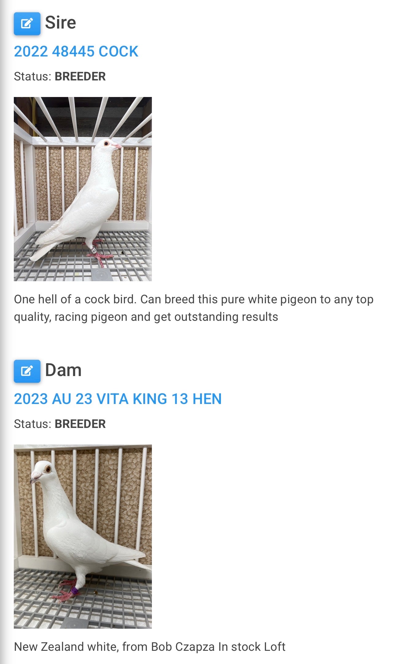 2026 Rocky Ridge White Pigeon (8695)