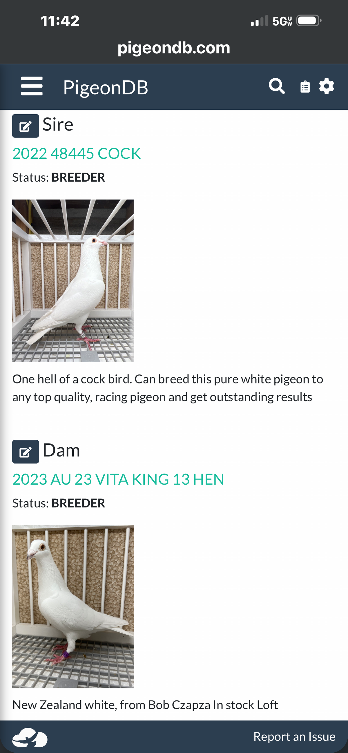 2026 Rocky Ridge White Pigeon (100124)