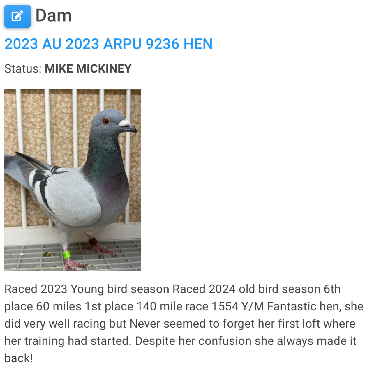 2024 Racing pigeon " RRL 290”